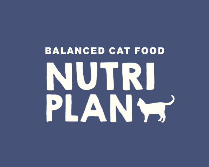 NutriPlan Queens Cat