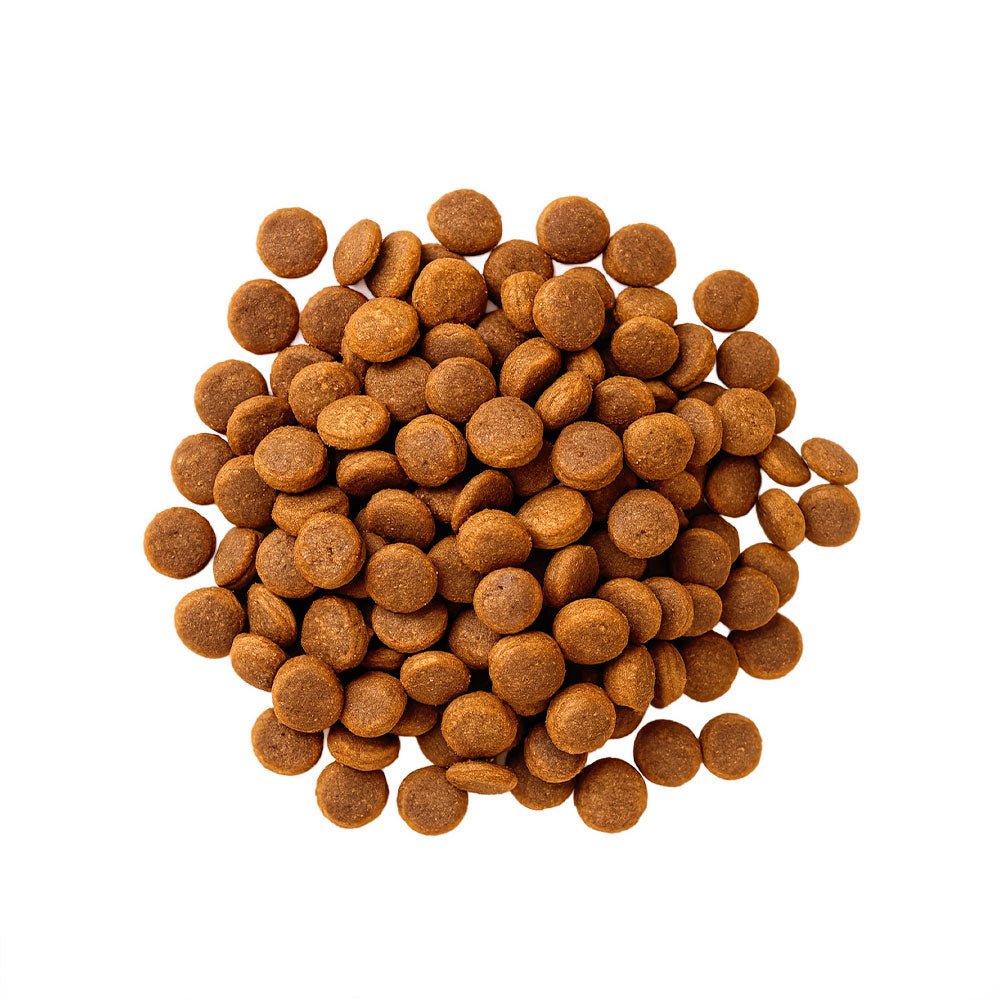 The Healthy SENIOR Kibble Dried Dog Food, 3.65 Lb, Case of 1