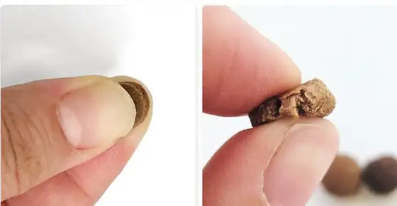 Hard kibble compared with soft The Healthy kibble